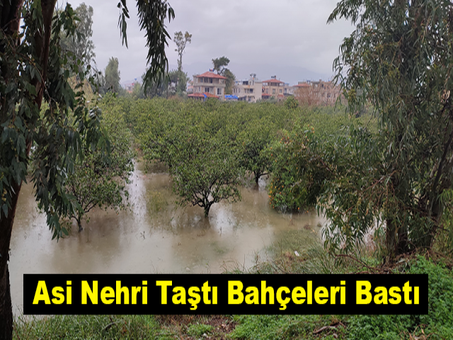 Asi Nehri Taştı, Bahçeleri Bastı
