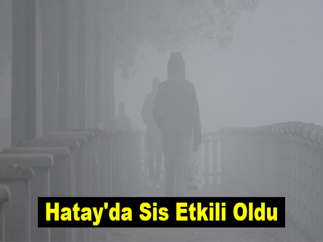 Hatay'da Sis Etkili Oldu