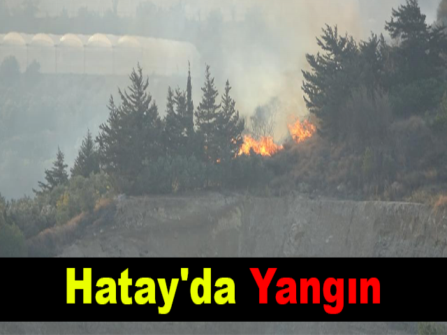 Hatay'da Yangın