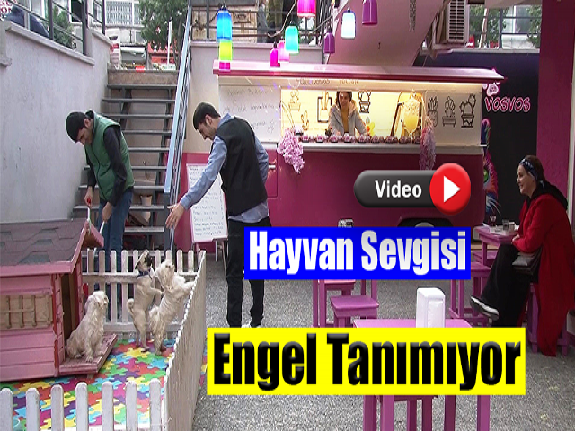 Hayvan sevgisi engel tanımıyor