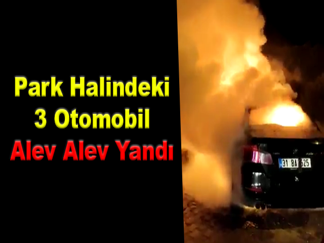 Park Halindeki 3 Otomobil Alev Alev Yandı