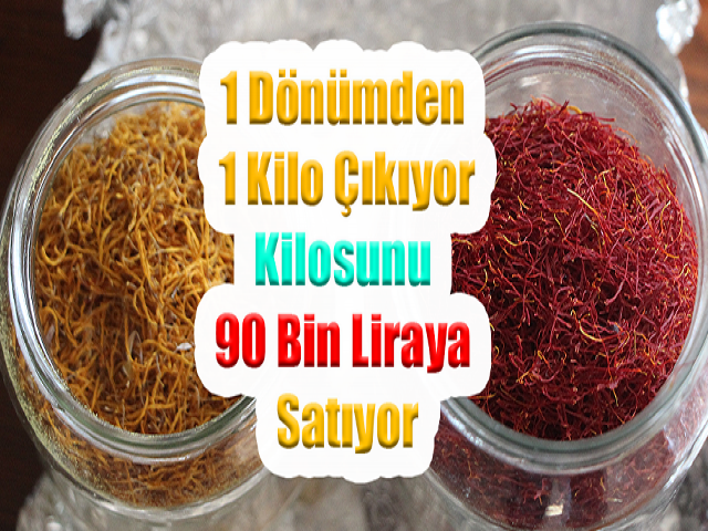 1 dönümden 1 kilo çıkıyor, kilosunu 90 bin liraya satıyor