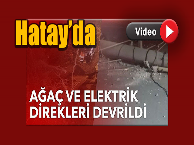 Hatay’da elektrik direkleri ve ağaçlar devrildi