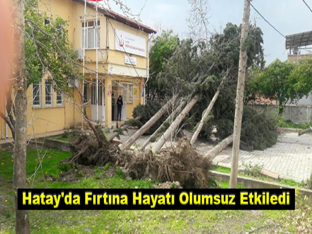 Hatay'da Fırtına Çatıları Uçurdu Ağaçları Kökünden Söktü