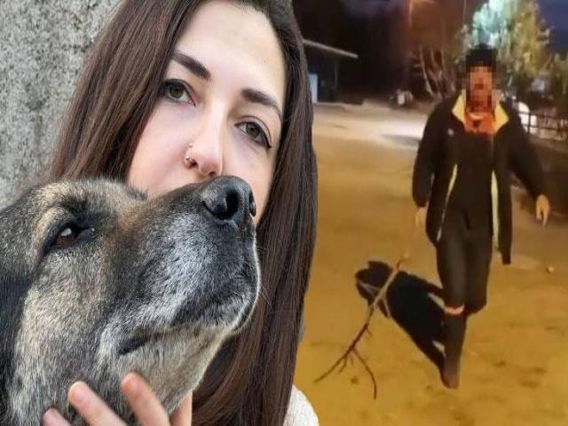 Hatay'da komşuya ve köpeğe darp iddiasına gözaltı