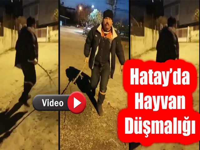 Hayvan düşmanlığı İskenderun’da hortladı