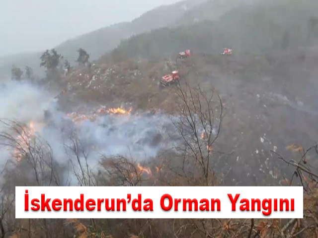 İskenderun’da Orman Yangını