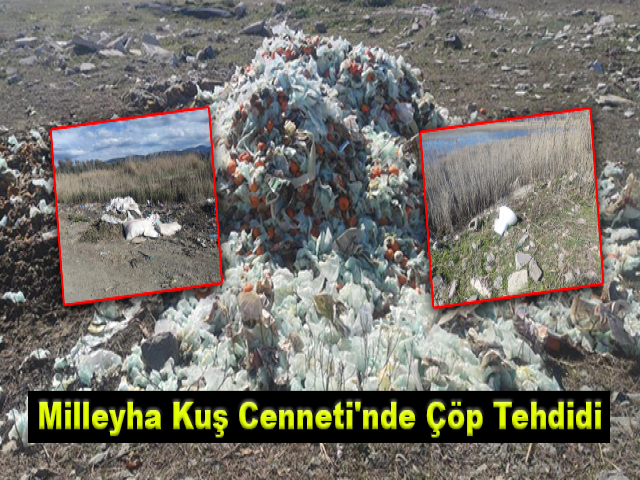 Milleyha Kuş Cenneti'nde Çöp Tehdidi