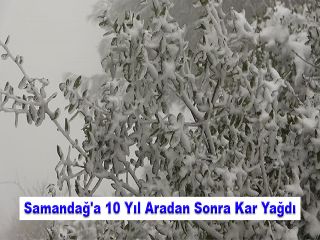 Samandağ'a 10 Yıl Aradan Sonra Kar Yağdı