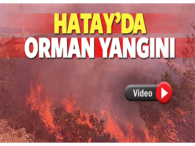 Hatay’da Amanoslar'da yangın 5 ev yandı
