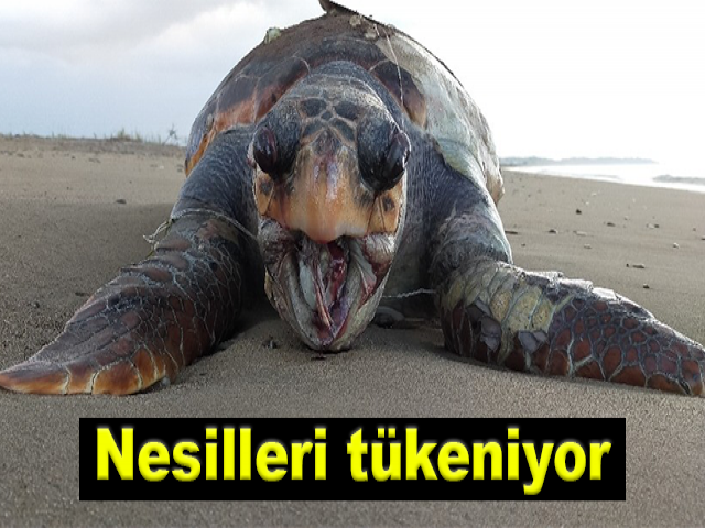 Hatay’da birer birer ölüyorlar