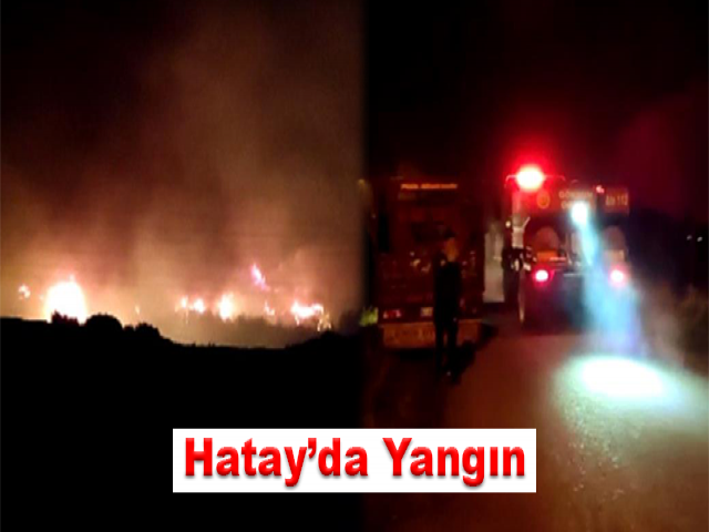 Hatay’da gece yarısı orman yangını başladı