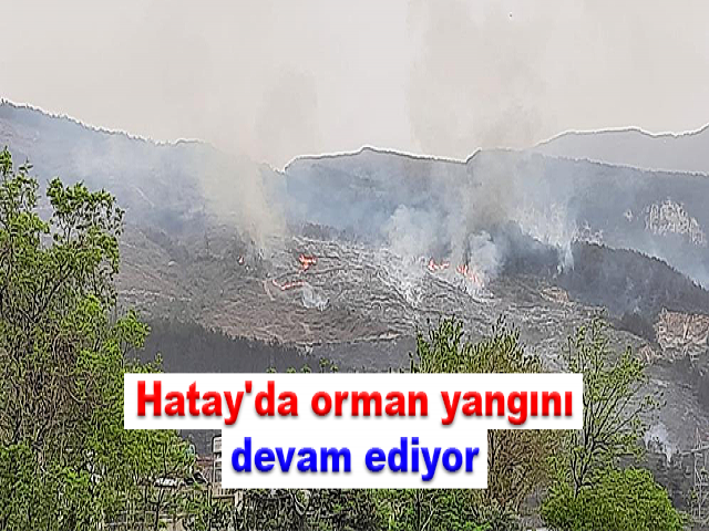 Hatay'da orman yangını iki noktada devam ediyor