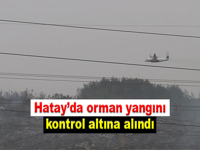 Hatay’da orman yangını kontrol altına alındı