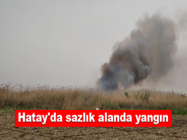 Hatay'da sazlık alanda yangın