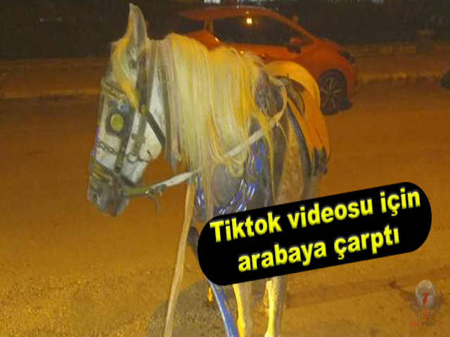Hatay'da Tiktok videosu için at ile arabaya çarptılar