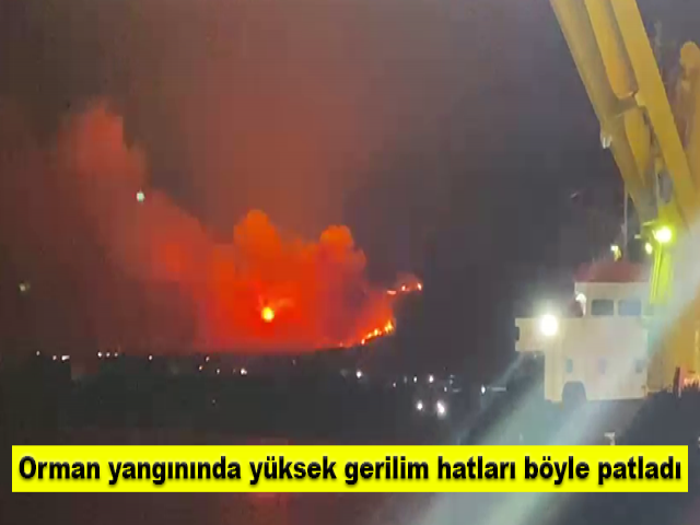 Hatay'daki orman yangınında yüksek gerilim hatları böyle patladı