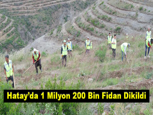Hatay’da 1 Milyon 200 Bin Fidan Dikildi