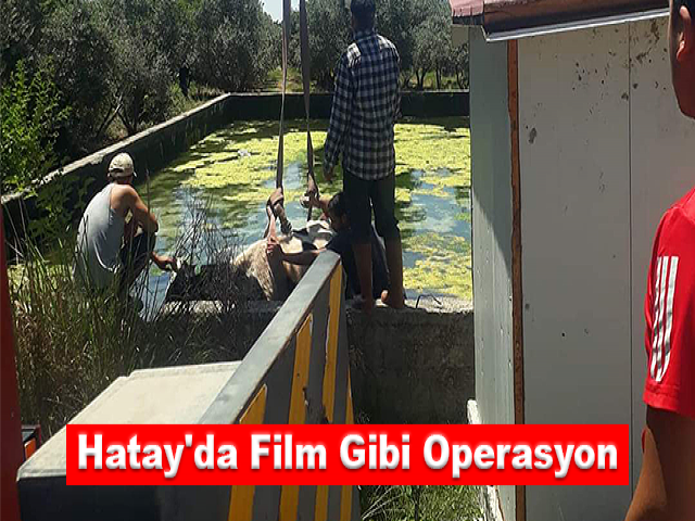 Hatay'da film gibi operasyon