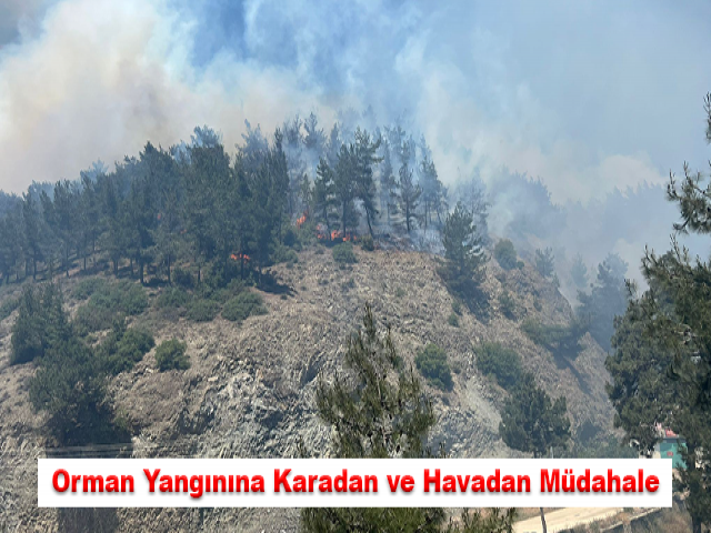 Hatay’da orman yangınına karadan ve havadan müdahale