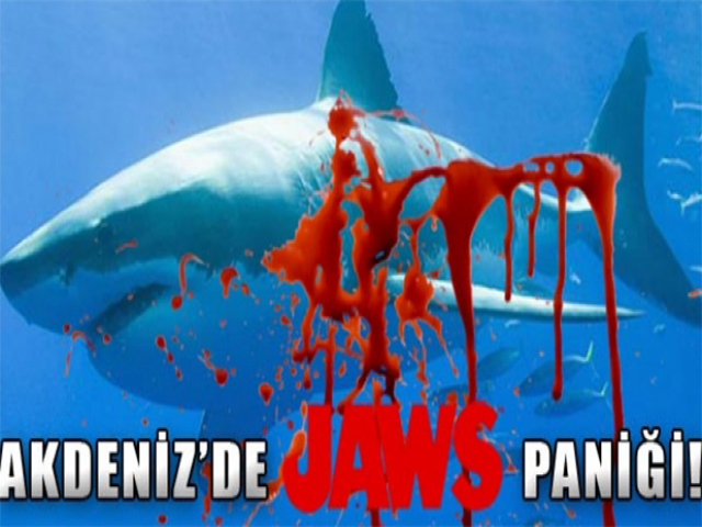 Hatay'da sahile yaklaşan köpek balıkları görüntülendi