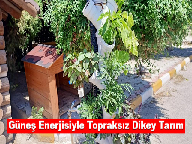 Güneş enerjisiyle topraksız dikey tarım