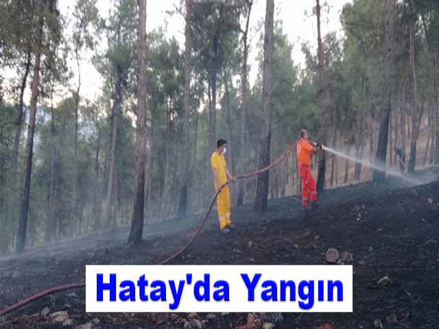 Hatay'da Yangın