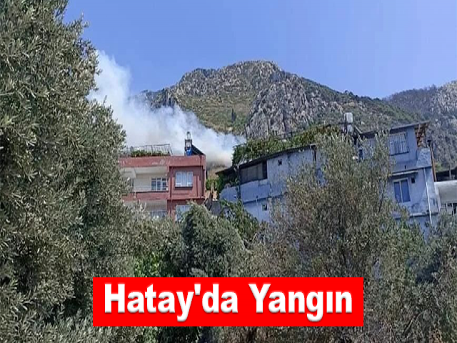 Hatay'da yangın