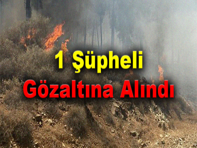Hatay’daki orman yangınıyla ilgili 1 şüpheli gözaltına alındı