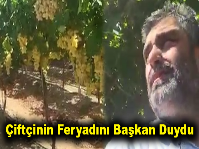 Çiftçinin feryadını başkan duydu