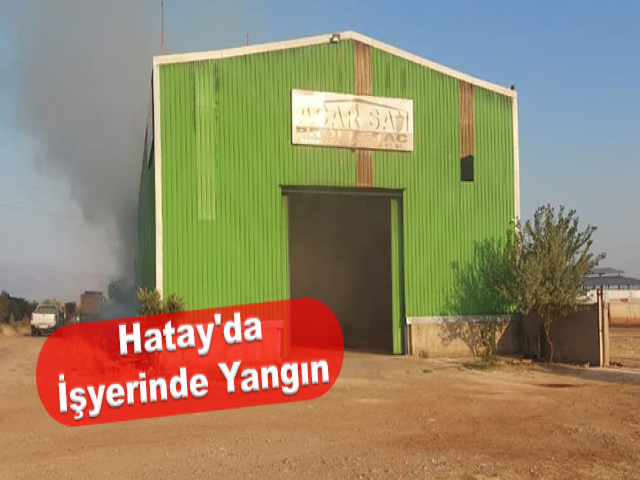 Hatay’da çiftlikteki yangında samanlar kül oldu