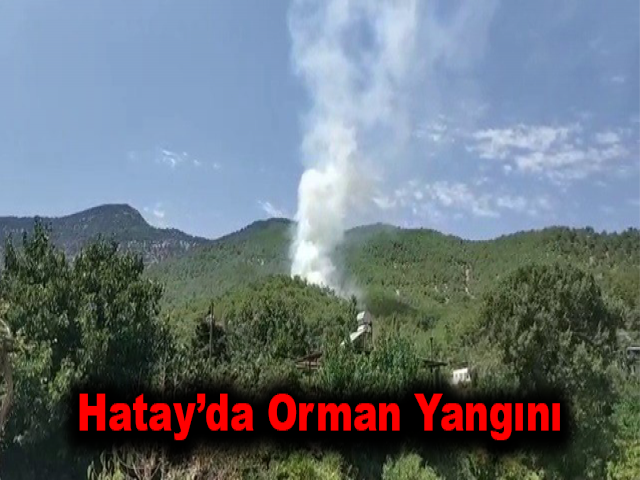 Hatay’da orman yangını