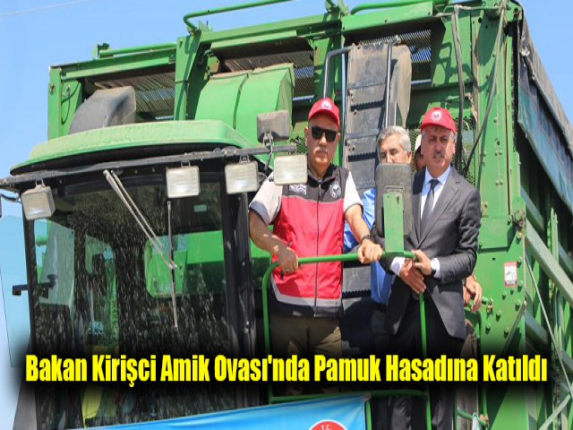 Bakan Kirişci Amik Ovası'nda pamuk hasadına katıldı