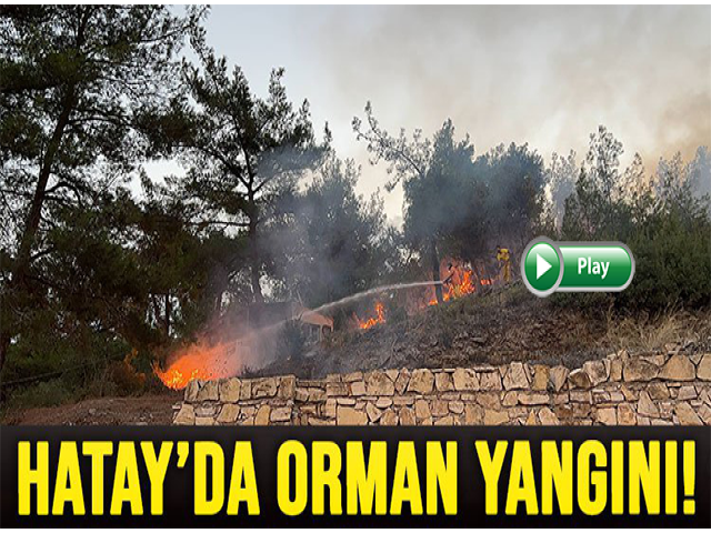  Hatay’da ormanlık alanda çıkan yangın evlere sıçramadan söndürüldü
