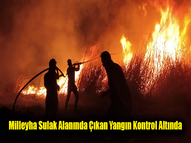 Milleyha sulak alanında çıkan yangın kontrol altında